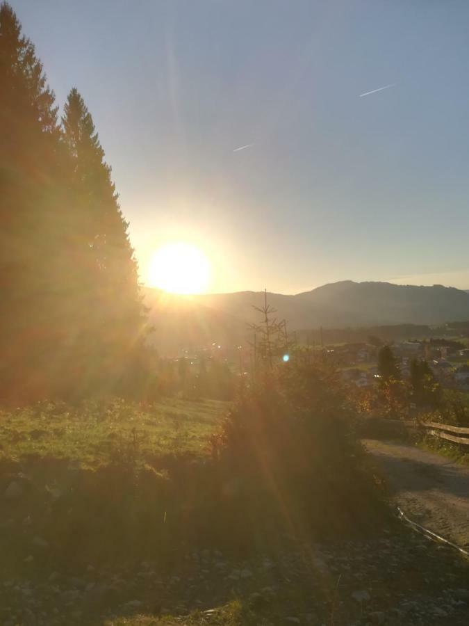 Haus Heckenrose Daire Westendorf Dış mekan fotoğraf